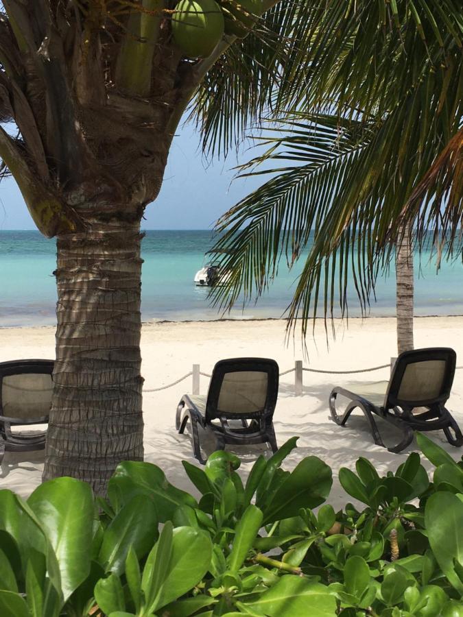 Amara Cancun Beachfront Condo 外观 照片